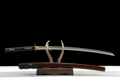 Alternative view of Tempered Thunder - Håndlaget Katana av T10 verktøystål