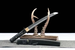 Alternative view of Phantom Wail - Håndlaget Tanto av High Carbon Steel